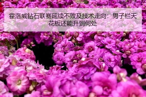 huo-luo-wei-zuan-shi-lian-sai-yan-xu-bu-bai-ji-ji-shu-zou-xiang-nan-zi-lan-tian-hua-ban-hai-neng-sheng-dao-he-chu-2-802.jpg